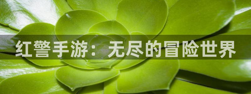 恩佐娱乐手机版最新功能介绍视频：红警手游：无尽的冒险世界