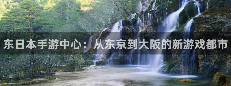 恩佐娱乐官方注册：东日本手游中心：从东京到大阪的新游戏都市
