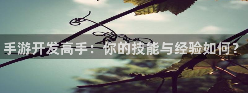 恩佐娱乐官方注册：手游开发高手：你的技能与经验如何？
