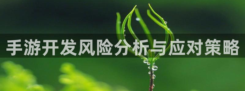 恩佐娱乐1：手游开发风险分析与应对策略
