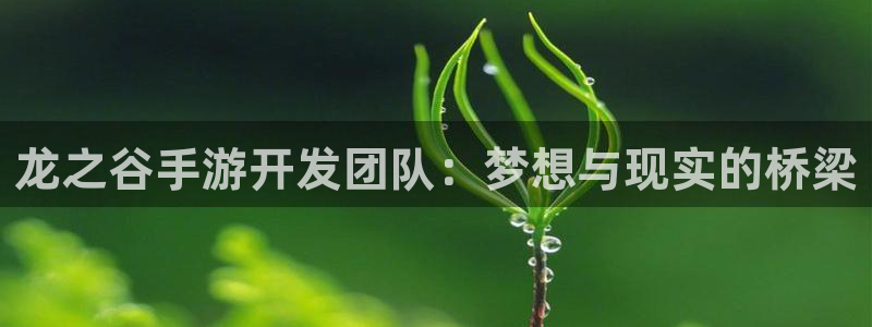 恩佐娱乐平台正规吗可靠吗：龙之谷手游开发团队：梦想与现实的桥