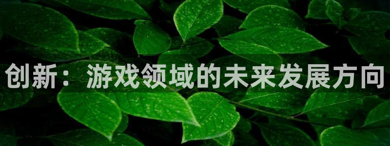 恩佐娱乐手机登录：创新：游戏领域的未来发展方向