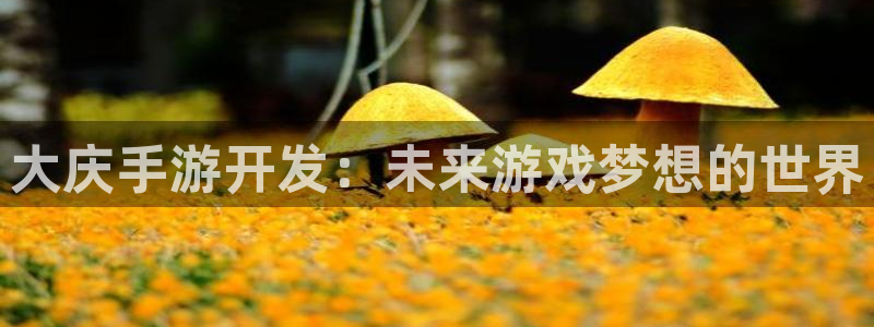 恩佐娱乐手机登录：大庆手游开发：未来游戏梦想的世界