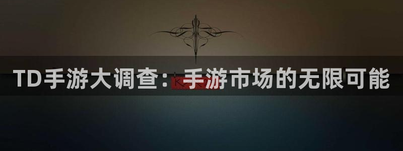 恩佐娱乐手机登录：TD手游大调查：手游市场的无限可能