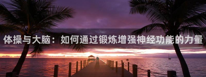必一运动体育官网