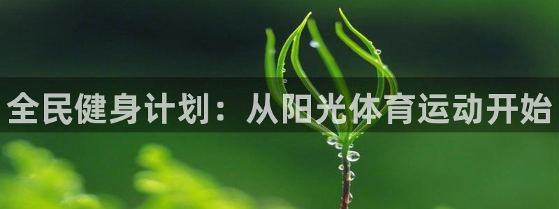 必一运动bsport体育