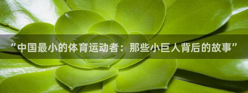 必一运动官网