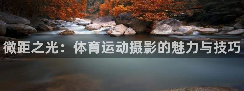 b体育必一运动官网