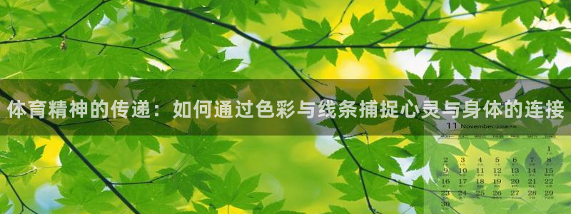 必一运动：体育精神的传递：如何通过色彩与线条捕捉心灵与身体的连接