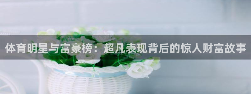 bsports必一运动：体育明星与富豪榜：超凡表现背后的惊人财富故事