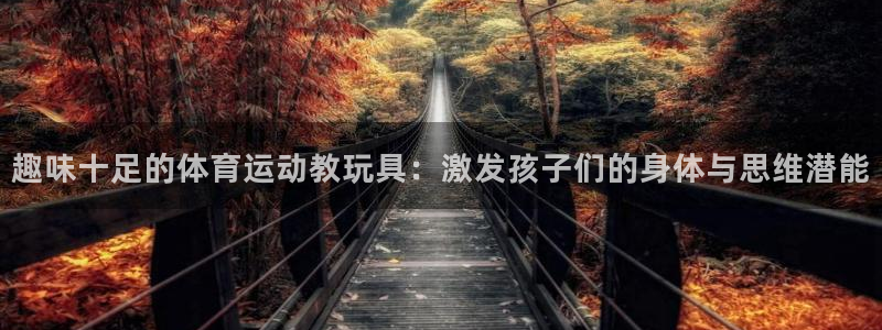 必一运动bsport体育：趣味十足的体育运动教玩具：激发孩子们的身体与思维潜能