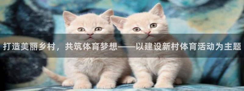 必一运动app：打造美丽乡村，共筑体育梦想——以建设新村体育活动为主题