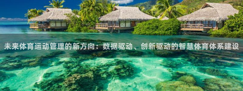 bsports必一运动：未来体育运动管理的新方向：数据驱动、创新驱动的智慧体育体系建设