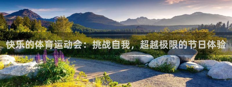 b体育必一运动官网：快乐的体育运动会：挑战自我，超越极限的节日体验