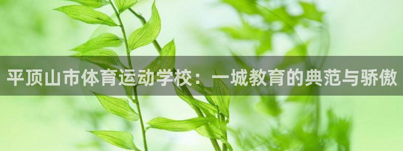 必一运动bsport体育：平顶山市体育运动学校：一城教育的典范与骄傲